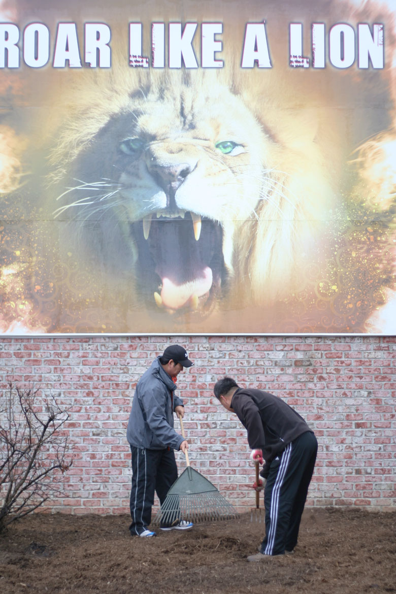 032809-mulch (11).jpg